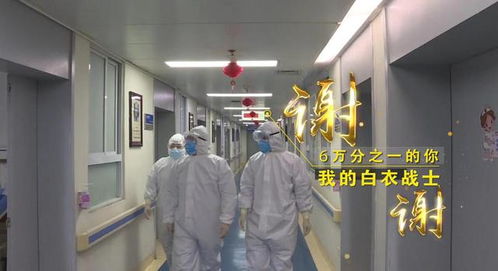 “守護天使”公益律師武漢上崗，為醫護筑起法律后盾